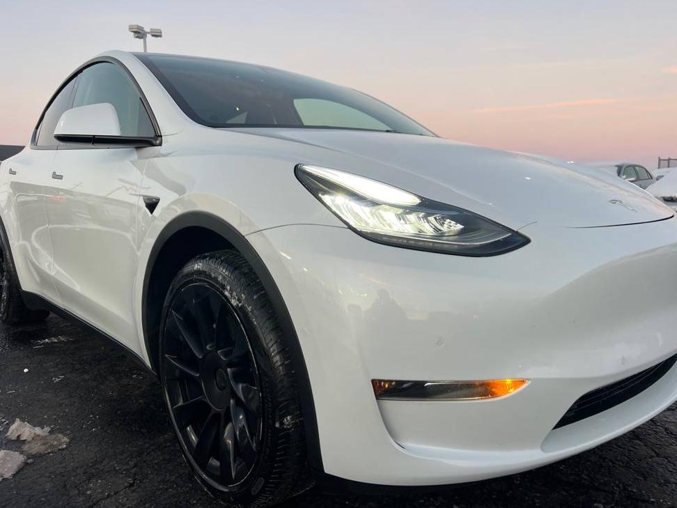 TESLA MODEL Y 2021 5YJYGDEE8MF062764 image